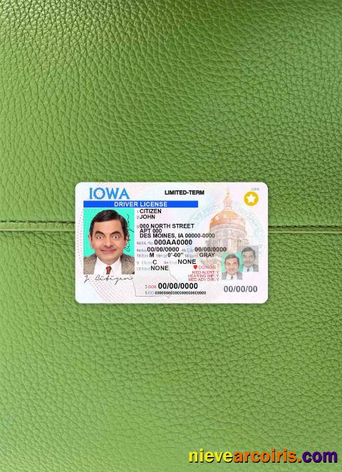 USA Iowa driving license photolook
